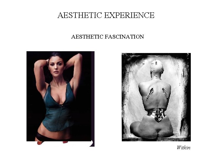 AESTHETIC EXPERIENCE AESTHETIC FASCINATION Witkin 