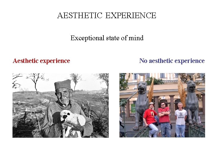 AESTHETIC PREFERENCE EXPERIENCE Exceptional state of mind Aesthetic experience No aesthetic experience 
