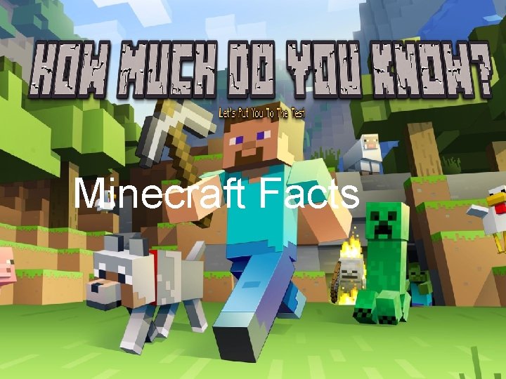 Minecraft Facts 