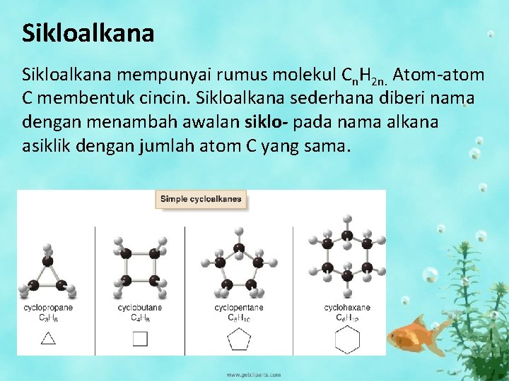 Sikloalkana mempunyai rumus molekul Cn. H 2 n. Atom-atom C membentuk cincin. Sikloalkana sederhana