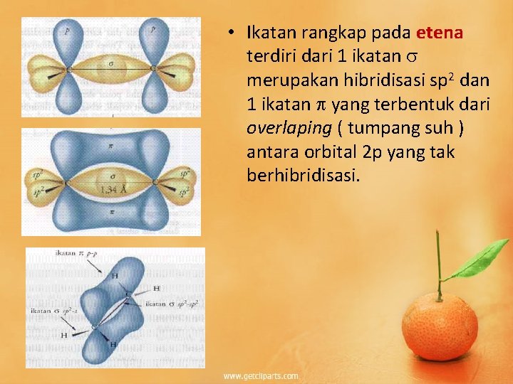  • Ikatan rangkap pada etena terdiri dari 1 ikatan merupakan hibridisasi sp 2