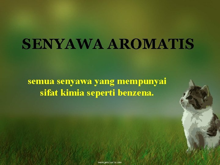 SENYAWA AROMATIS semua senyawa yang mempunyai sifat kimia seperti benzena. 