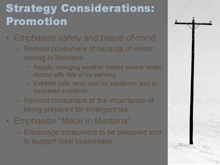 Strategy Considerations: Promotion • Emphasize safety and peace-of-mind. – Remind consumers of hazards of