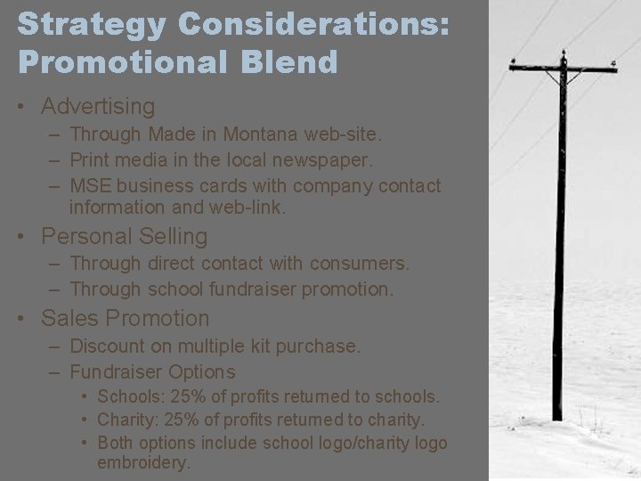 Strategy Considerations: Promotional Blend • Advertising – Through Made in Montana web-site. – Print