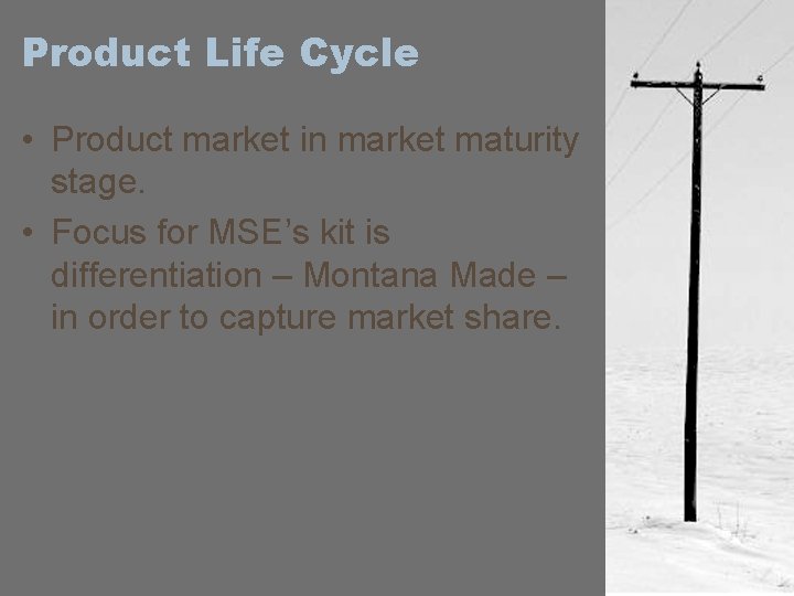 Product Life Cycle • Product market in market maturity stage. • Focus for MSE’s