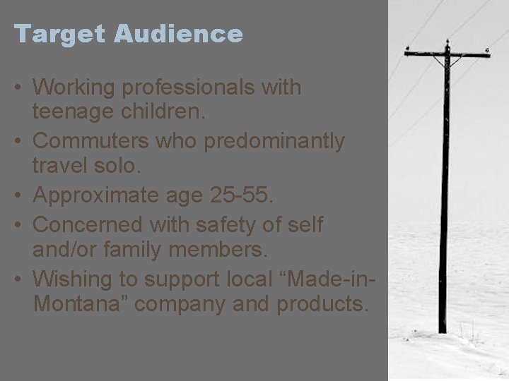 Target Audience • Working professionals with teenage children. • Commuters who predominantly travel solo.