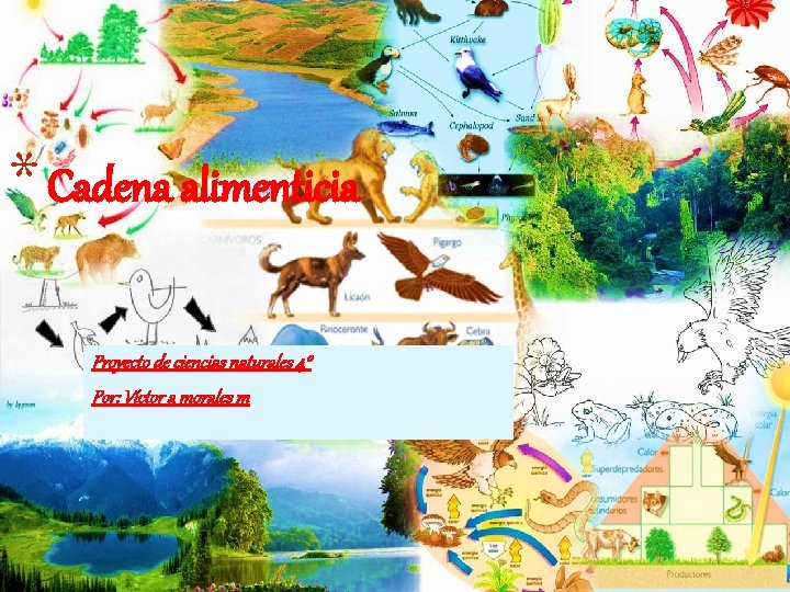 * Cadena alimenticia Proyecto de ciencias naturales 4° Por: Víctor a morales m * Cadena alimenticia Proyecto de ciencias naturales 4° Por: Víctor a morales m