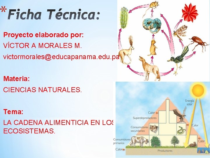 * Proyecto elaborado por: VÍCTOR A MORALES M. victormorales@educapanama. edu. pa Materia: CIENCIAS NATURALES. * Proyecto elaborado por: VÍCTOR A MORALES M. victormorales@educapanama. edu. pa Materia: CIENCIAS NATURALES.