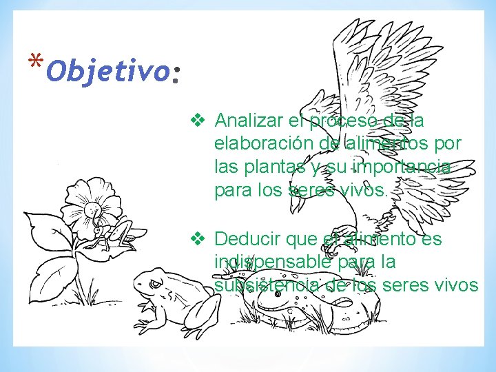 *Objetivo v Analizar el proceso de la elaboración de alimentos por las plantas y *Objetivo v Analizar el proceso de la elaboración de alimentos por las plantas y