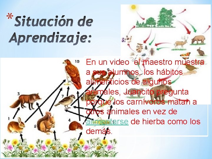 * En un video el maestro muestra a sus alumnos, los hábitos alimenticios de * En un video el maestro muestra a sus alumnos, los hábitos alimenticios de