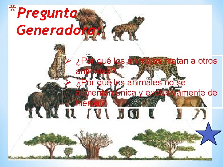 *Pregunta Generadora: Ø ¿Por qué los animales matan a otros animales? Ø ¿Por qué *Pregunta Generadora: Ø ¿Por qué los animales matan a otros animales? Ø ¿Por qué