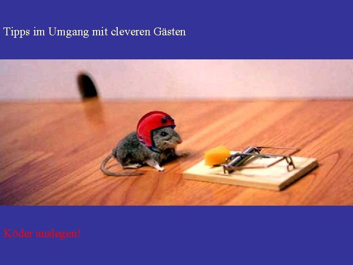 Tipps im Umgang mit cleveren Gästen Köder auslegen! 