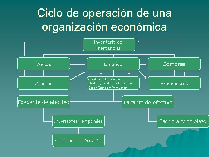 Ciclo de operación de una organización económica Inventario de mercancias Ventas Compras Efectivo Gastos Ciclo de operación de una organización económica Inventario de mercancias Ventas Compras Efectivo Gastos