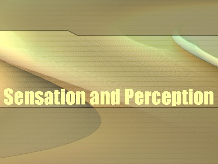 Sensation and Perception 