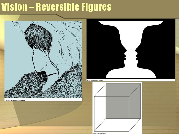 Vision – Reversible Figures 