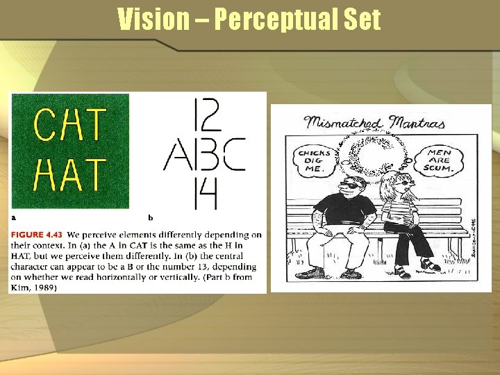 Vision – Perceptual Set 