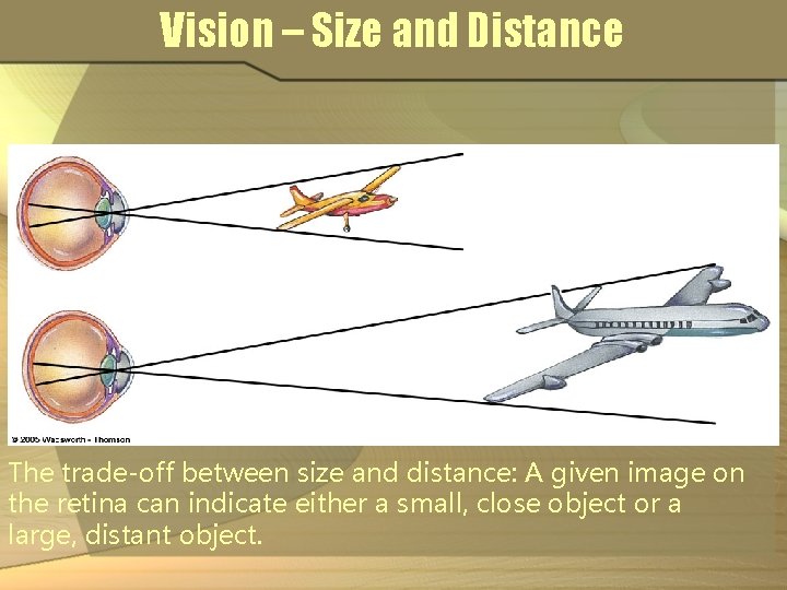Vision – Size and Distance The trade-off between size and distance: A given image