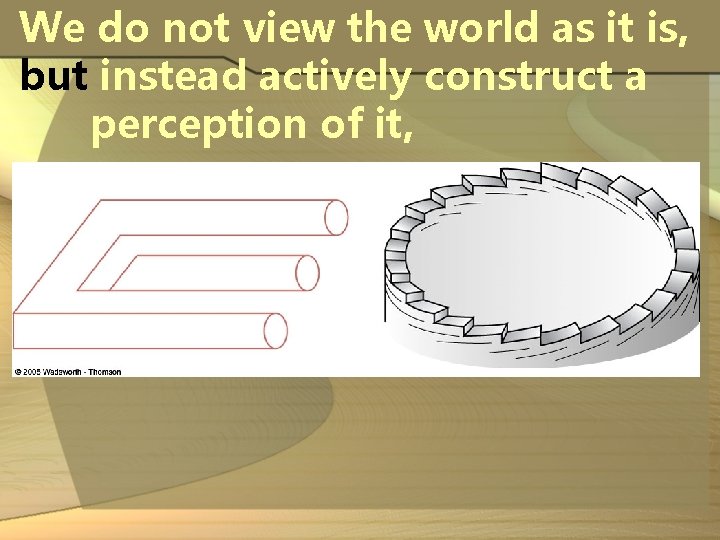 We do not view the world as it is, but instead actively construct a