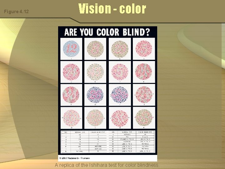 Figure 4. 12 Vision - color A replica of the Ishihara test for color