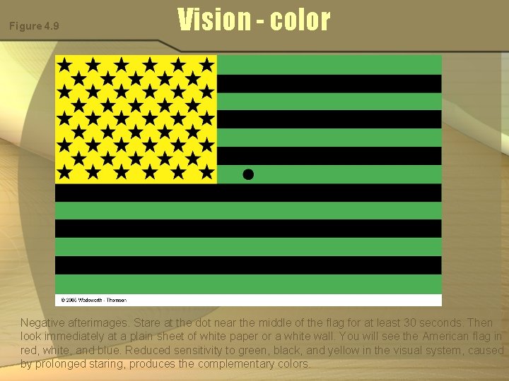 Figure 4. 9 Vision - color Negative afterimages. Stare at the dot near the