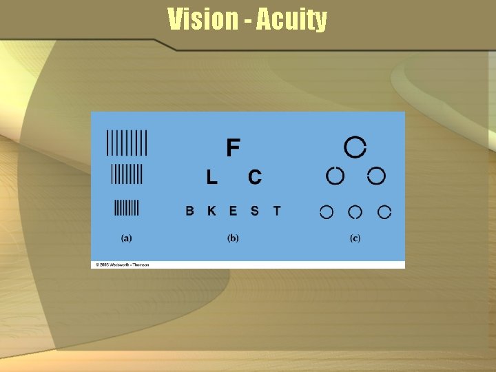 Vision - Acuity 