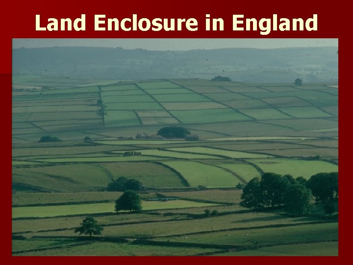 Land Enclosure in England 