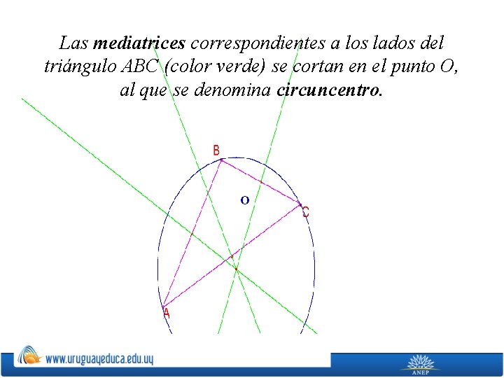 Las mediatrices correspondientes a los lados del triángulo ABC (color verde) se cortan en