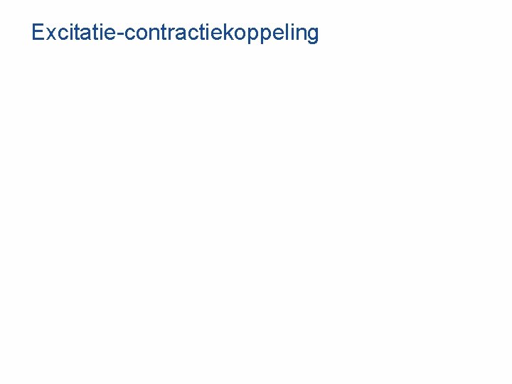 Excitatie-contractiekoppeling 