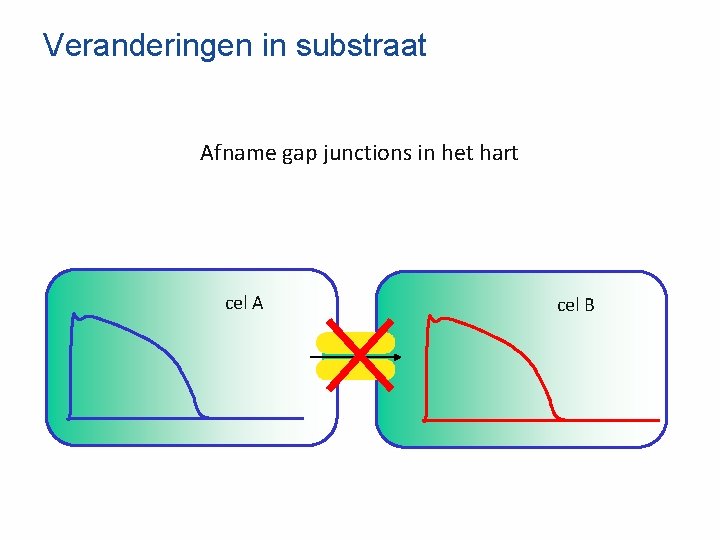 Veranderingen in substraat Afname gap junctions in het hart cel A cel B 