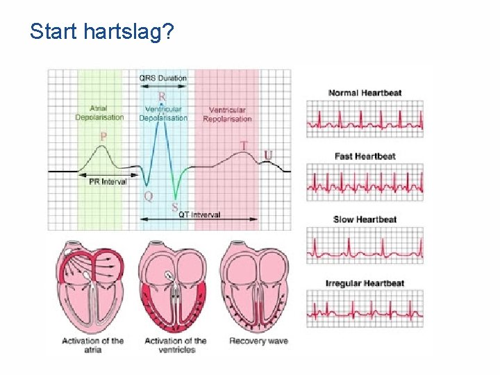 Start hartslag? 