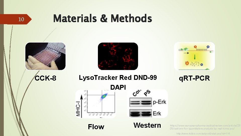 10 Materials & Methods CCK-8 Lyso. Tracker Red DND-99 DAPI Flow Western q. RT-PCR