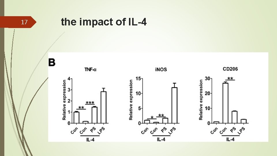 17 the impact of IL-4 