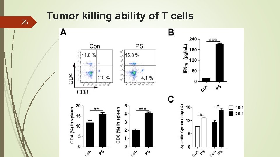 26 Tumor killing ability of T cells 