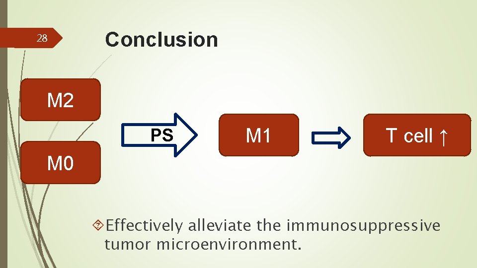 28 Conclusion M 2 PS M 1 T cell ↑ M 0 Effectively alleviate