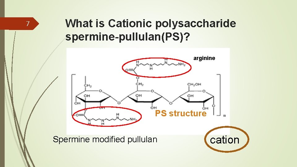 7 What is Cationic polysaccharide spermine-pullulan(PS)? arginine PS structure Spermine modified pullulan cation 