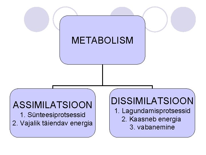METABOLISM ASSIMILATSIOON 1. Sünteesiprotsessid 2. Vajalik täiendav energia DISSIMILATSIOON 1. Lagundamisprotsessid 2. Kaasneb energia METABOLISM ASSIMILATSIOON 1. Sünteesiprotsessid 2. Vajalik täiendav energia DISSIMILATSIOON 1. Lagundamisprotsessid 2. Kaasneb energia