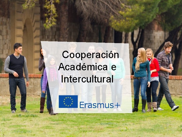 Cooperación Académica e Intercultural Education and Culture Date: in 12 pts 