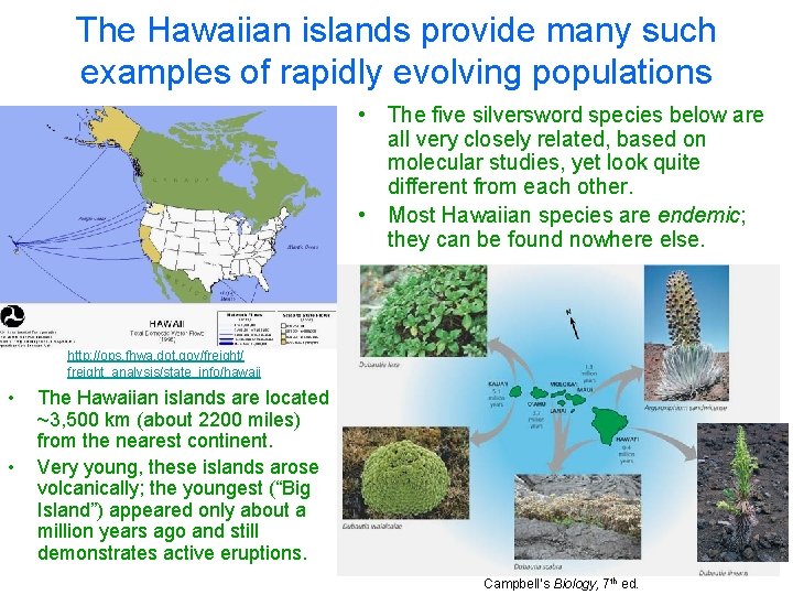 The Hawaiian islands provide many such examples of rapidly evolving populations • The five