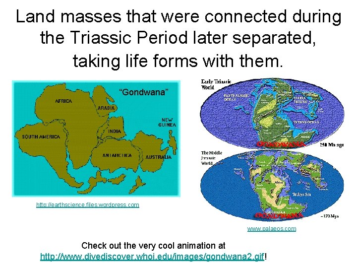 Land masses that were connected during the Triassic Period later separated, taking life forms