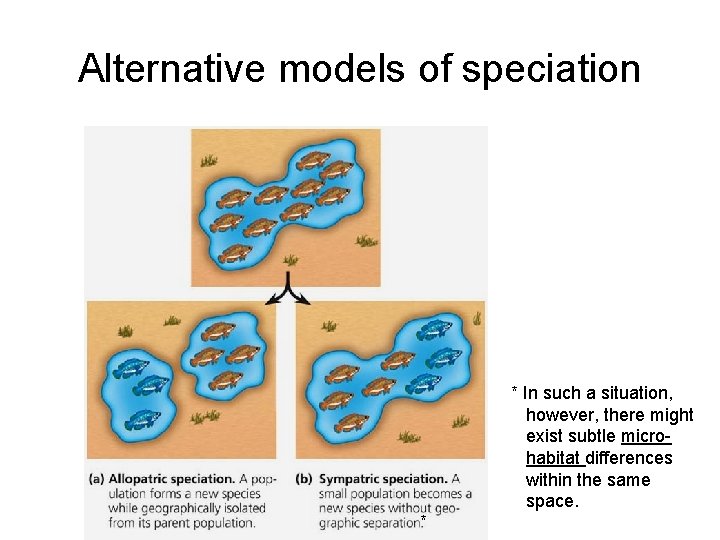Alternative models of speciation * In such a situation, however, there might exist subtle