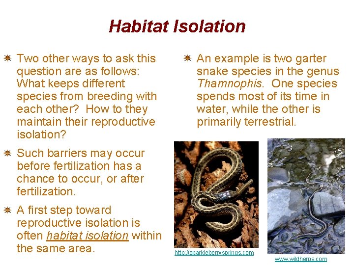 Habitat Isolation Two other ways to ask this question are as follows: What keeps