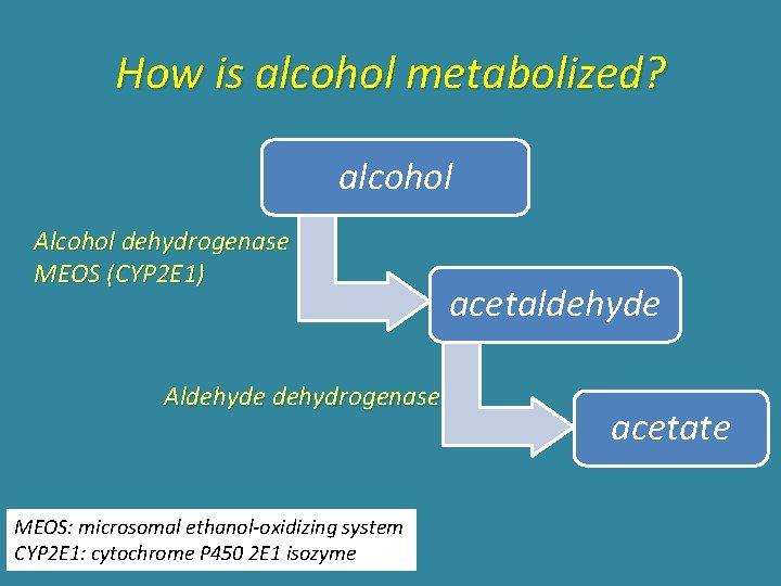 How is alcohol metabolized? alcohol Alcohol dehydrogenase MEOS (CYP 2 E 1) Aldehyde dehydrogenase