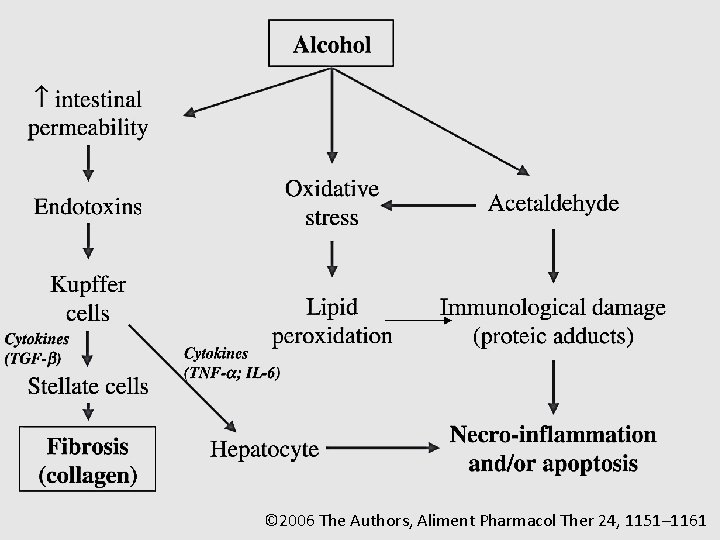 © 2006 The Authors, Aliment Pharmacol Ther 24, 1151– 1161 