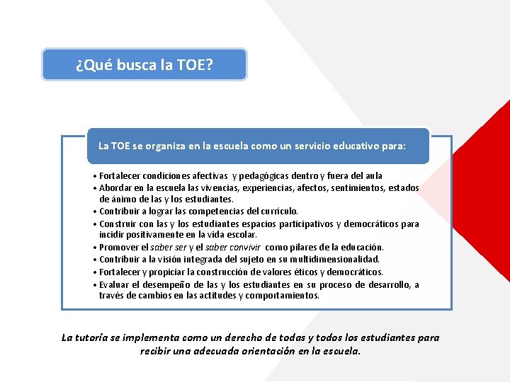 ¿Qué busca la TOE? La TOE se organiza en la escuela como un servicio