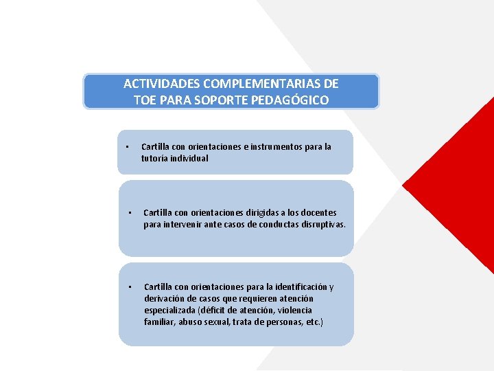 ACTIVIDADES COMPLEMENTARIAS DE TOE PARA SOPORTE PEDAGÓGICO • Cartilla con orientaciones e instrumentos para