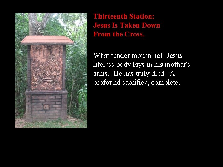 Thirteenth Station: Jesus Is Taken Down From the Cross. What tender mourning! Jesus' lifeless