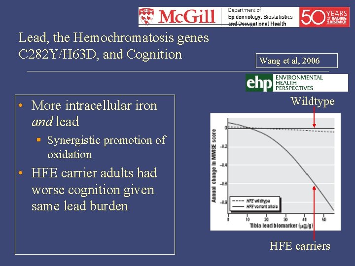 Lead, the Hemochromatosis genes C 282 Y/H 63 D, and Cognition • More intracellular