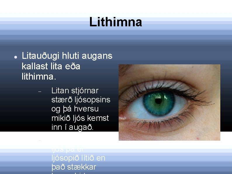 Lithimna Litauðugi hluti augans kallast lita eða lithimna. Litan stjórnar stærð ljósopsins og þá