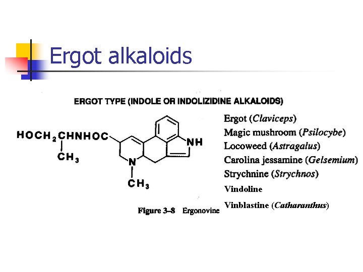 Ergot alkaloids Vindoline Vinblastine (Catharanthus) 