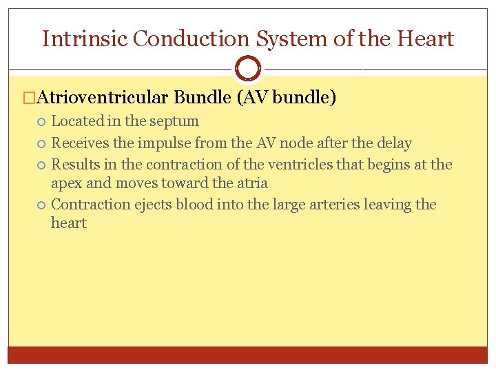 Intrinsic Conduction System of the Heart �Atrioventricular Bundle (AV bundle) Located in the septum